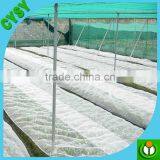Greenhouse Sun Cover Insect Proof Net/plastic Against Aphids Mesh/greenhouse Insect Net thumbnail-6