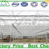 Multi-Span Agricultural Greenhouses Type and PC Sheet Cover Material Commercial Greenhouses