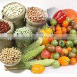 Organic Vaggie Dry Cat Food Meatless thumbnail-2