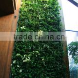 2015newest fatory price artificial grass wall,indoor or outdoor,vertical green wall