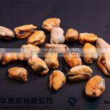 Seafood Product IQF Mussel Meat Frozen Seafood Trading Companies thumbnail-1