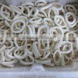 Frozen Pacific Squid Rings Dia:3-7cm thumbnail-2