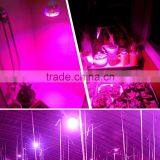 1pcs for Sale Grow Led Light E27 Indoor 7W 6 Red 1 Blue Hydroponic Grow Led Lamp for Flower Growth Vegetable Greenhouse thumbnail-4