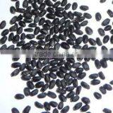 Basil Seeds thumbnail-2