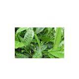 Instant Black Tea Powder thumbnail-1