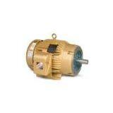 Baldor Motor thumbnail-1