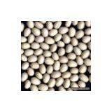Sell White Sugar Bean thumbnail-1