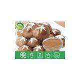 Shiitake Mushroom Powder
