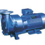 ERL Series Water Ring Vacuum Pump thumbnail-1