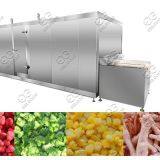 Industrial IQF Machine Price For Fruit & Vegetable