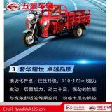 Gasoline Tricycle Cargo Loader Lovol Three Wheeler Mali Ethiopia Ghana Bukina Faso Tanzania Kenya Senegal Togo Benin Nigeira Mauritania Angola Burundi Chad Cameroon C ô te D'Ivoire Gabon Guinea Mozambique Rwanda Congo Uganda Zimbabwe thumbnail-5