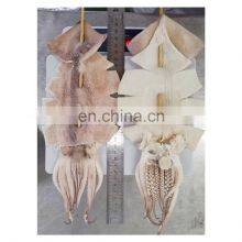 Hot Sale IQF Frozen Illex Squid Skewer in Big Size