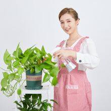Ozone Water Multipurpose Cleaner Sprayer thumbnail-5