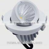 Ronse 10W Factory Supply Led Cob Trunk Light Rotable Lighting(RS-F251C)