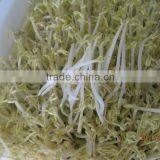 Automatic Bean Sprout Machine With CE thumbnail-2