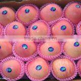 Tianshui Kairui Trade Co., Ltd. company overview - view 2 thumbnail