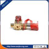 Fuel System Spare Parts Gas Precharge Valve thumbnail-2