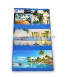 CMYK Printing PVC Ticket Holder With Two Clear Pocket thumbnail-6