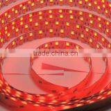 New Arrival! 5050 12v/24v Rgbw LED Strips Made in China thumbnail-5