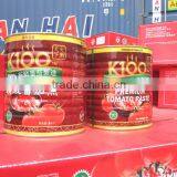 3000gram Canned Tomato Paste thumbnail-2