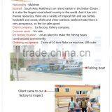 2 Pieces 10 Ton in Maldives Ice Flake Maker Machine for Fish Boat Business