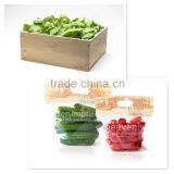 Vacuum Food Packing Machine For Fruit and Vegetables thumbnail-2