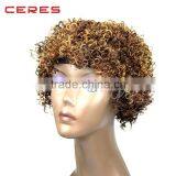 Hot Sales Top Quality Brazilian Afro Kinky Curly Human Hair Lace Front Wig on Sale thumbnail-3
