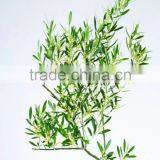 Digital Printing Sheet Glass Manufacture The Float Process thumbnail-5