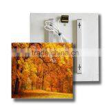 2016 TUV GS/SAA/Rohs/CE Infrared Heater Frameless Electric Panel Heating Radiator 360w/720w/960/1200w