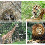 Anping Stainless Steel Zoo Aviary Mesh