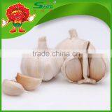 Chinese High Quality Fresh Pure White Garlic or Normal White Garlic Dry Garlic thumbnail-3