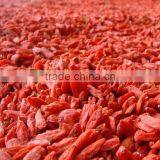 2016 New Year Raw New Lycium Barbarum/dried Goji Berry for Sale thumbnail-3