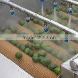 Hp-360 Vegetable And Fruit Brush Washing Washer And Drying Dryer Machine thumbnail-4