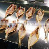 Automatic Fish Belly Splitting Butterfly Pieces Filleting Machine thumbnail-5