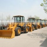 Mini loader with rated load 1000kgs