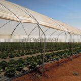RoughBrothers Tunnel-600 Single Span Low Cost Agricultural Tunnel Greenhouse thumbnail-4