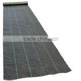 Agricultural Black Ground Cover thumbnail-3