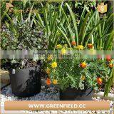 Non-woven Garden Vegetable Bag Recycled Greenhouse Grow Bag thumbnail-1