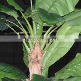 SJ0301111 Hot Selling Indoor Fake Decorative Artificial Banana Tree thumbnail-2