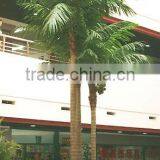 Home garden edging decorative 5ft to 16ft Height outdoor artificial green plastic palm trees EDS06 0836