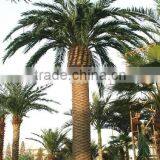 Artificial Decorative Painting Palm Tree Bark thumbnail-2