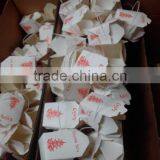 Square Paper Pasta Box 16oz thumbnail-1