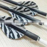 Striped Plastic Vanes Carbon Arrows With Pin Nocks thumbnail-2