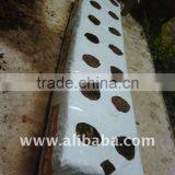 Grow Bag thumbnail-1