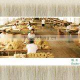 Jinshi Jinxiang Bristles Industrial Co., Ltd. company overview - view 3 thumbnail