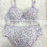 OEM Type Girl Range Bra and Brief Set With Push up Padded 2016 New Arrival thumbnail-2