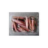 Sell Frozen Whole Squid (Hong Kong)