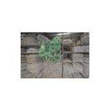 347H Stainless Steel Seamless Pipe Price (USD) thumbnail-2