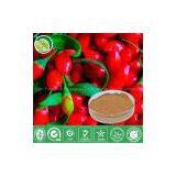 Wolfberry Extract thumbnail-1