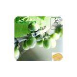 50% Total Chlorogenic Acid Green Coffee Bean Extract thumbnail-1